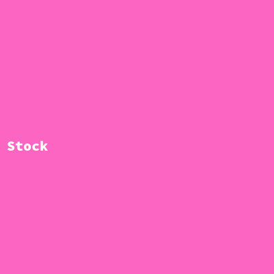 Stock