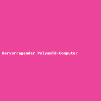 Hervorragender Polyamid-Computer