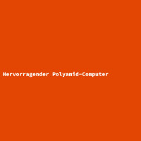 Hervorragender Polyamid-Computer